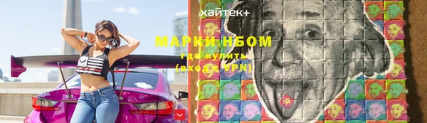 ПСИЛОЦИБИНОВЫЕ ГРИБЫ Верея