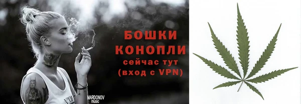 молекула духа Верхний Тагил