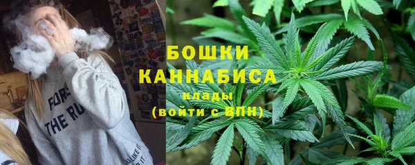молекула духа Верхний Тагил