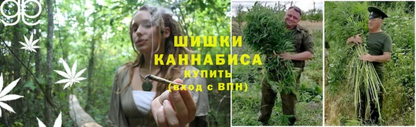 ПСИЛОЦИБИНОВЫЕ ГРИБЫ Верея