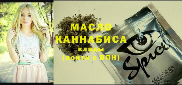молекула духа Верхний Тагил