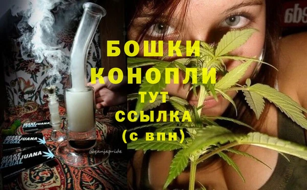 ПСИЛОЦИБИНОВЫЕ ГРИБЫ Верея