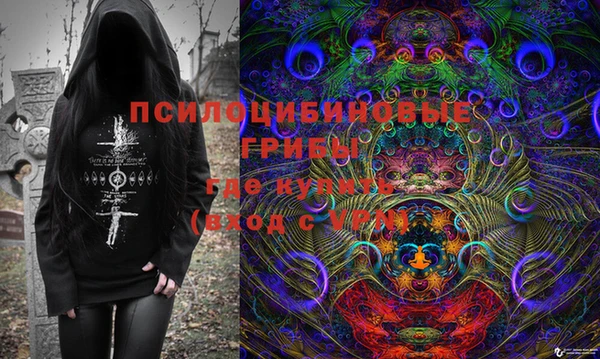 ПСИЛОЦИБИНОВЫЕ ГРИБЫ Верея