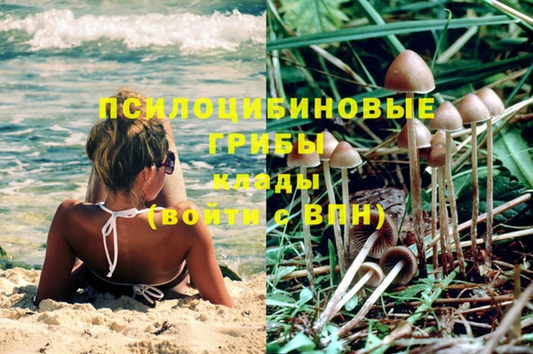 молекула духа Верхний Тагил